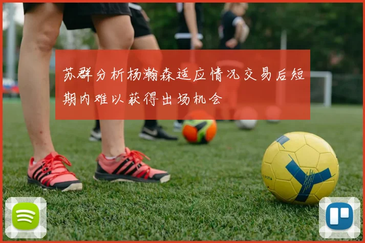 苏群分析杨瀚森适应情况交易后短期内难以获得出场机会